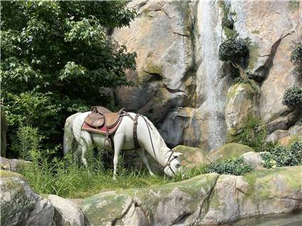 ディズニーシー_20250808_014