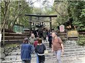 京都_20260227_竹林の小径_007.jpg