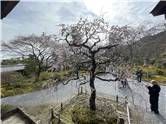 京都_20260227_天龍寺_026.jpg