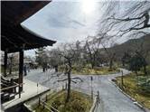 京都_20260227_天龍寺_030.jpg