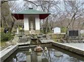 京都_20260227_天龍寺_037.jpg