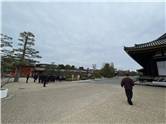 京都_20260227_三十三間堂_004.jpg
