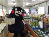 くまモン