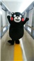 くまモン