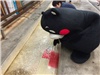 くまモン