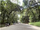 MeijiJingu_20250731_002