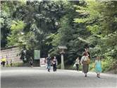 MeijiJingu_20250731_007