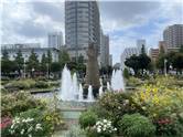 Yokohama_20250816_006