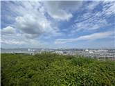 Yokohama_20250816_018