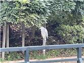 あしかがフラワーパーク