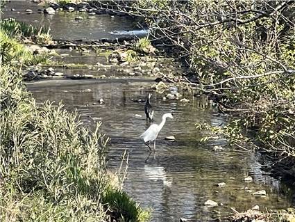 高崎 京ヶ島天然温泉 湯都里 20260321 011