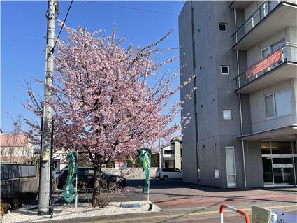 高崎 京ヶ島天然温泉 湯都里 20260321 013