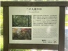IMG_2422.jpg