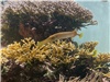 DJI_20260727_102621_415.JPG
