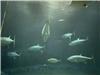 DJI_20260727_103444_324.JPG