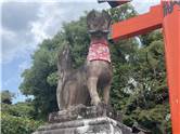Kyoto_20260729_041