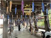 Kyoto_20260729_062