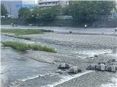 Kyoto_20260729_084