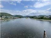 Kyoto_20260729_087