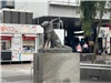渋谷ハチ公